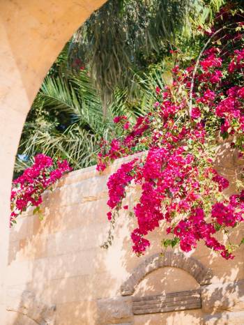 Paris Hotel Cairo Paris Hotel Cairo16